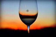 Washington DC Wine Tour to Loudoun County Vineyards thumbnail 5
