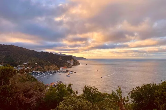 Catalina Island Walking History Tour - Image 5