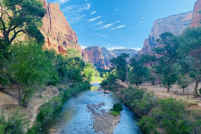 Zion National Park Private Guided Hike & Picnic - Image 4