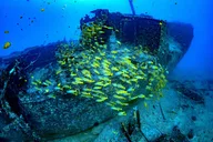 Waikiki Submarine Adventure thumbnail 6