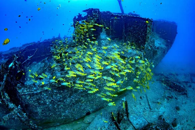 Waikiki Submarine Adventure - Image 6