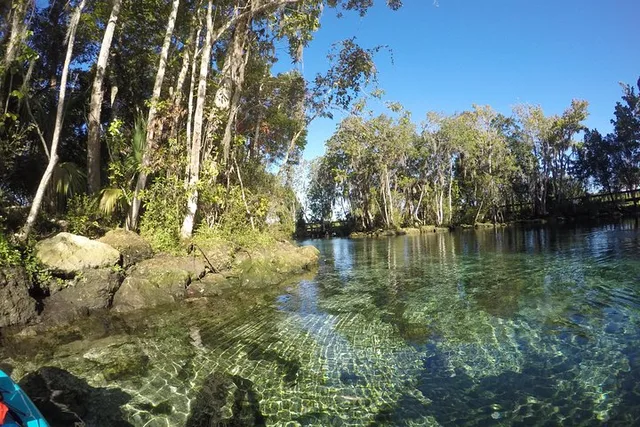 Crystal River Single Kayak Rental - Image 5