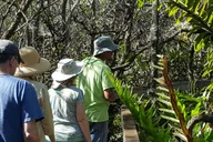 Miami Everglades Tour with Boat Trip and Hikes thumbnail 4