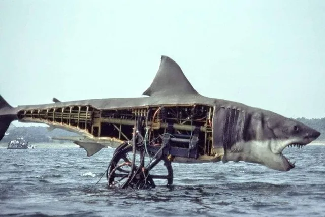 Jaws Tour in Martha's Vineyard - Image 4
