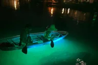 Crystal River Clear Kayak Sunset and Glow Tour thumbnail 5