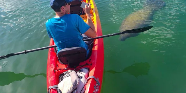 Sarasota Mangrove Kayak Tour to Hidden Beach - Image 2