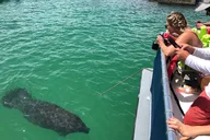St. Petersburg Shell Key Island Adventure thumbnail 2