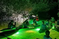 Sarasota Glass Bottom Kayak Night Tour thumbnail 1