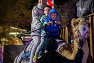 Phoenix ZooLights Entry Ticket thumbnail 5