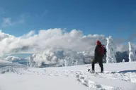 Crystal Mountain Snowshoeing Tour thumbnail 1