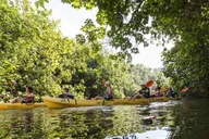 Kauai Wailua River Kayak and Sacred Falls Hike thumbnail 3