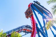 Tampa Bay Busch Gardens Admission Ticket thumbnail 4