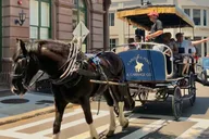 Charleston Horse & Carriage Historic Tour thumbnail 6