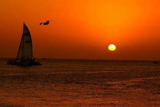Key West Reef Snorkel and Sunset Sail - Image 4