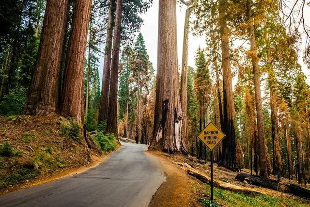San Francisco to Los Angeles California Parks Tour - Image 3