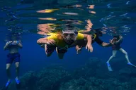Wailea Snorkeling Experience for First Timers thumbnail 5