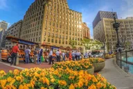 Indianapolis Pedal Pub Tour thumbnail 3