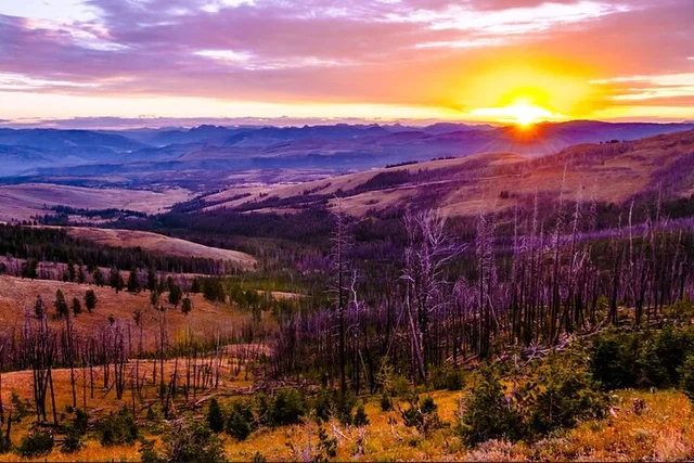 Salt Lake City Yellowstone and Las Vegas 7-Day Tour - Image 6