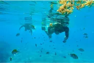 Phil Foster Park Snorkel Tour 2.5 Hours thumbnail 3