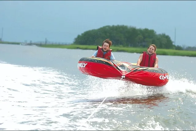 Hilton Head Tubing and Dolphins Tour 2.5 hr - Image 3