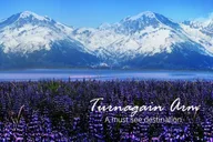 Anchorage Turnagain Arm Tour thumbnail 2
