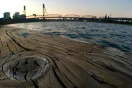 Portland City Tour thumbnail 4