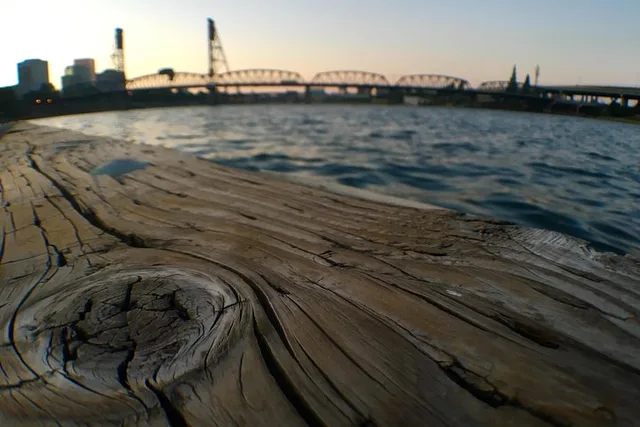 Portland City Tour - Image 4
