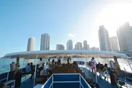 Miami Skyline and Star Island Cruise thumbnail 3