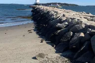 Portland Lighthouse Bicycle Tour 2 hr thumbnail 4