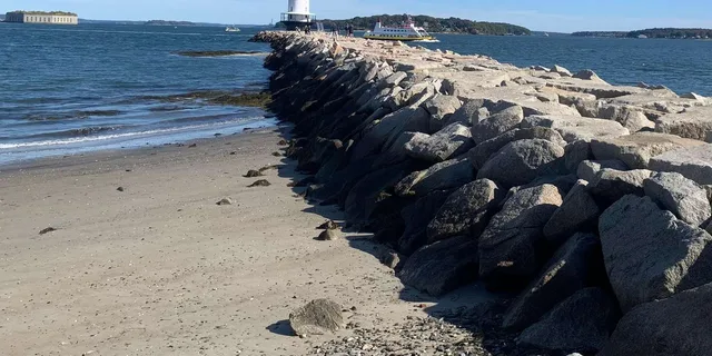 Portland Lighthouse Bicycle Tour 2 hr - Image 4