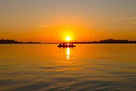 St. Petersburg Kayak Adventure at Shell Key Preserve thumbnail 5