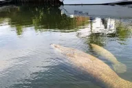 Key Largo Sunset Cruise thumbnail 2