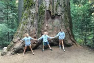 Yosemite Off-Road Giant Sequoia 4x4 Tour thumbnail 3