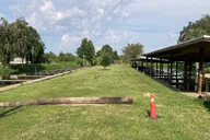 McIntosh Night Gator Ecotour thumbnail 2