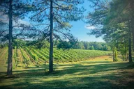Asheville Private Wine Tour thumbnail 3