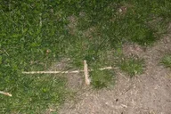 St. Augustine Paranormal Investigation Tour thumbnail 2