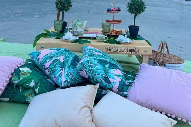 Charleston Themed Picnic Experience 2 hr - Image 6