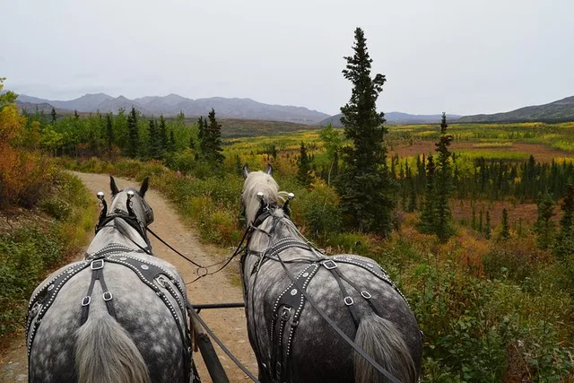 Healy Horse-Drawn Wagon Ride with Dining 3 hr - Image 4
