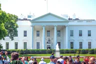 Washington DC Cherry Blossoms and Monuments Tour thumbnail 3