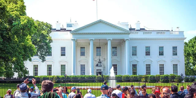 Washington DC Cherry Blossoms and Monuments Tour - Image 3