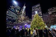 New York Christmas Rickshaw Sleigh Ride thumbnail 4