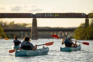Austin Bat Kayak Tour at Sunset 2 hr thumbnail 3