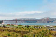 San Francisco City Highlights and Alcatraz Tour thumbnail 6