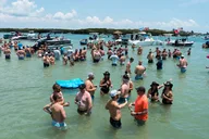 St. Pete Sandbar Party Cruise 4 hr thumbnail 4