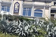 Los Angeles Private Tour thumbnail 3