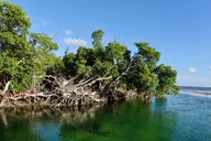 Big Pine Key Eco Boat Tour thumbnail 3