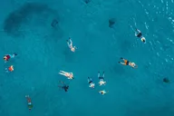Waikiki Turtle Canyon Snorkeling Adventure 2 hr thumbnail 1