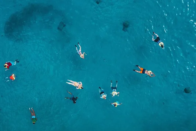 Waikiki Turtle Canyon Snorkeling Adventure 2 hr - Image 1