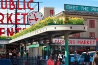 Seattle Walking Tour with a Guide 2 hr thumbnail 5