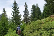 Malibu Horseback Riding Adventure with Lake Views 2 hr thumbnail 6